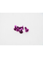 Hiro Seiko  Alloy Hex Socket Flat Head Screw M3x14  (4pcs | Purple)