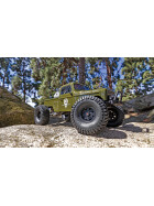 Element RC Enduro Ecto Trail Truck RTR, green