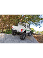 Element RC Enduro Bushido RTR