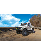 Element RC Enduro Bushido RTR
