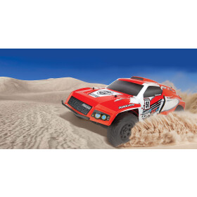 Team Associated Pro2 DK10SW RTR, red