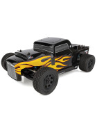 Team Associated Pro2 RT10SW RTR, black