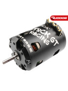 ORCA Stock GT 17.5T Fixed Timing Brushless Motor
