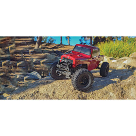 Element RC Enduro12 Trail Truck, Ecto RTR