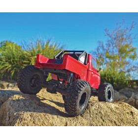 Element RC Enduro12 Trail Truck, Ecto RTR