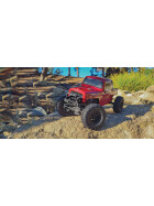 Element RC Enduro12 Trail Truck, Ecto RTR