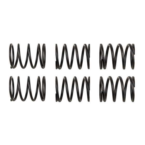 Team Associated SR7 Shock Spring Set