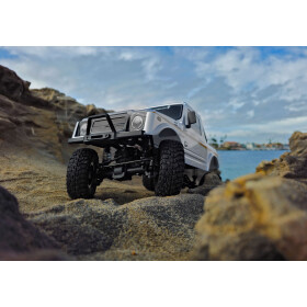 Element RC Enduro12 Trail Truck, Bushido RTR