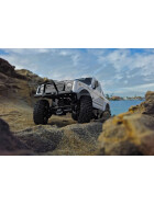 Element RC Enduro12 Trail Truck, Bushido RTR