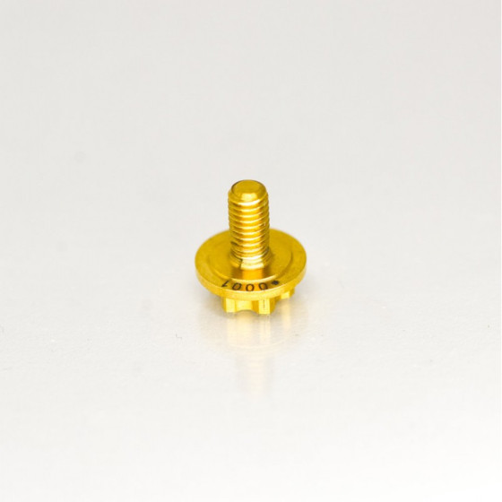 RC-Project Clutch Retainer Allen Screw in Titanium Grade 5 6Al4V Limited Edition 2 Pieces