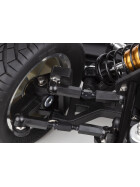 Team Associated RC10DS Classic Kit (Limited Edition)