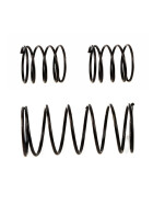 Team Associated SR27 Spring Set