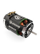 RUDDOG Racing RP543 5.0T 540 Sensored Brushless Motor