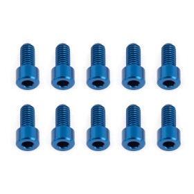 Team Associated RC12R6 Rear Hub Screws