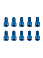 Team Associated RC12R6 Rear Hub Screws