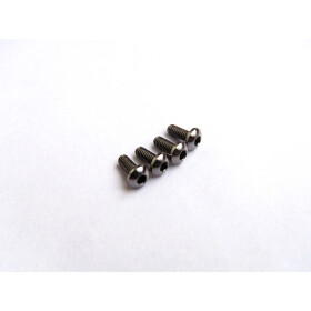 Hiro Seiko Titanium Hex Socket Button Head Screw M2x4 (4)