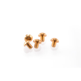 Hiro Seiko Alloy Hex Socket Button Head Screw M3x4 [Gold]