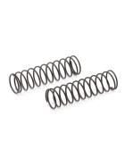 Team Associated Front Springs (59)