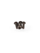 Hiro Seiko Alloy Hex Socket Button Head Screw M3x10 [HC]