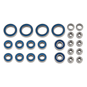 Team Associated RC10B6.2 FT Bearing Set