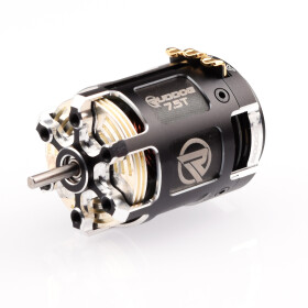 RUDDOG Racing RP542 6.5T 540 Sensored Brushless Motor