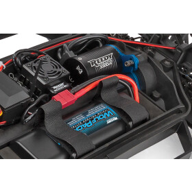 Team Associated Pro4 SC10 Ready-to-Run